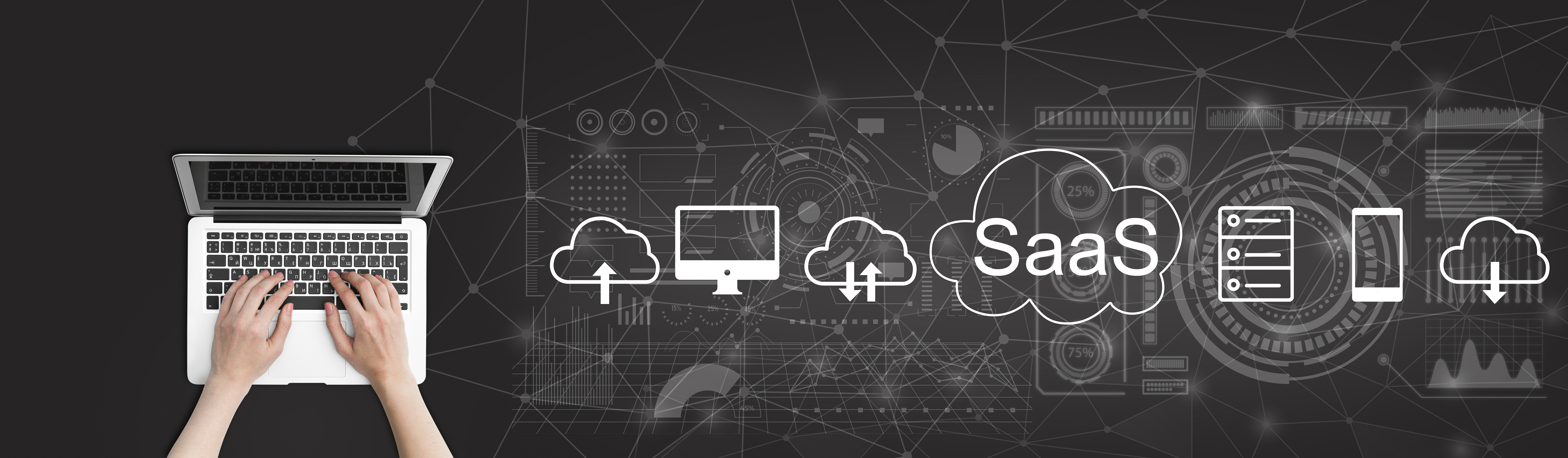 Custom Software Development
